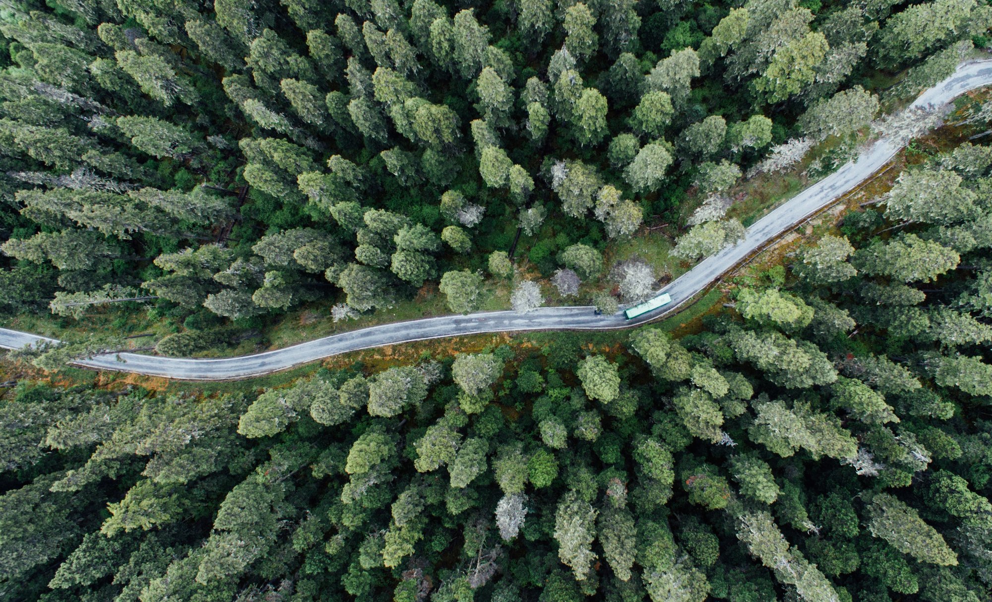 unsplash - road horiz